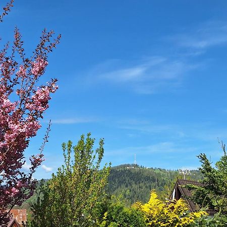 Apartament Na Brzyzku Zakopane Eksteriør billede