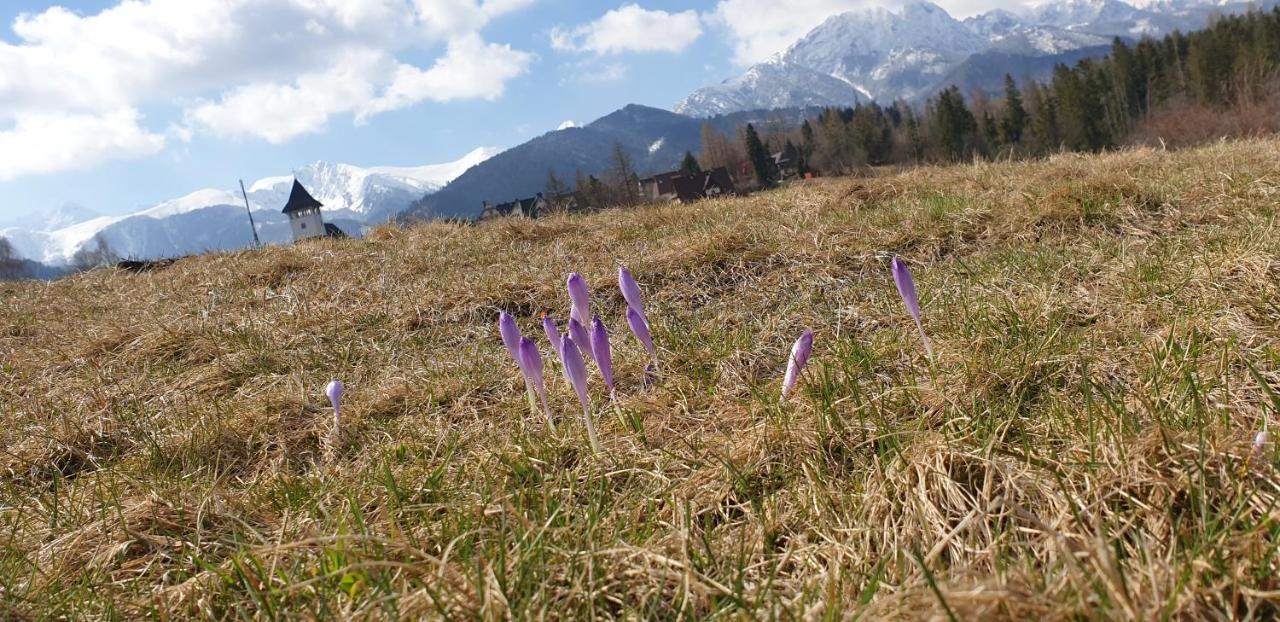 Apartament Na Brzyzku Zakopane Eksteriør billede
