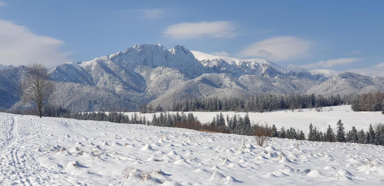 Apartament Na Brzyzku Zakopane Eksteriør billede